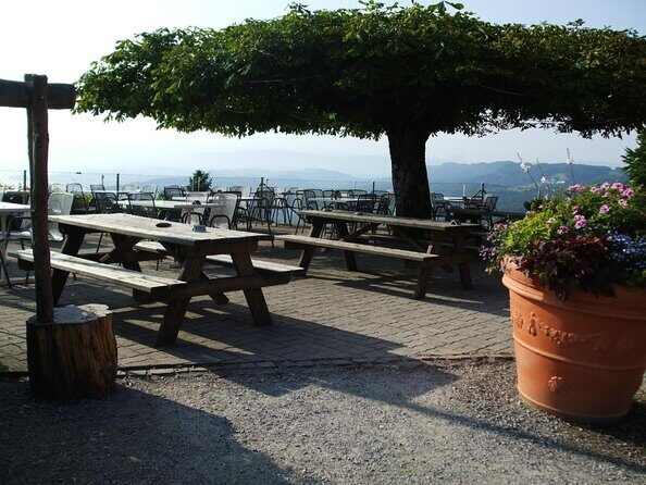 Best of Zurich Tour with Felsenegg Cable Car and Ferry Ride - The Coach Tour: Zurich’s Big Landmarks and Why They Matter