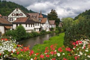 Black Forest and Rhine Falls Day Trip from Zurich - The return drive through spruce forests (and why it feels different)