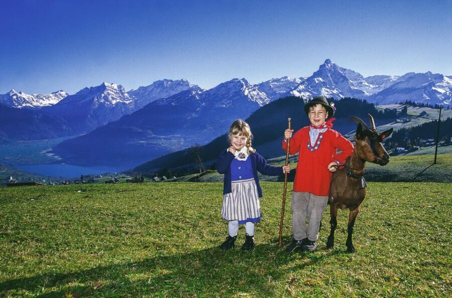 From Zurich: Bus Day Trip to Heidiland and Liechtenstein - Rapperswil’s Old Town and medieval castle: your first true Swiss hit