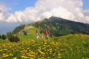 Mt Rigi and Lucerne Day Trip from Zurich With Boat Ride - Zurich to Weggis: the coach ride starts the scenery