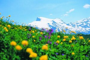 Mt Titlis Glacier Paradise Tour from Zurich With Lucerne - From Sihlquai check-in to Engelberg base: what the day really feels like