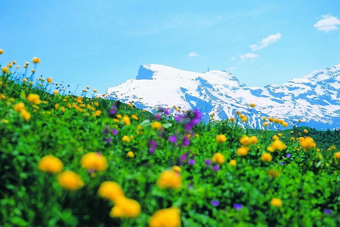 Mt Titlis Glacier Paradise Tour from Zurich With Lucerne - From Sihlquai check-in to Engelberg base: what the day really feels like