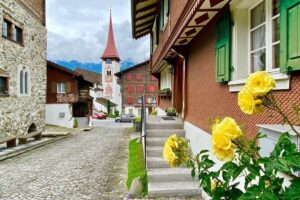 Natural Wonders of Switzerland: Private Day Tour from Zurich - Schwyz Viewpoints: The Lake Lucerne and Alps Combo