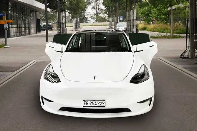 Private Arrival Transfer: from Zurich Airport to Lucerne - Who This Works Best For