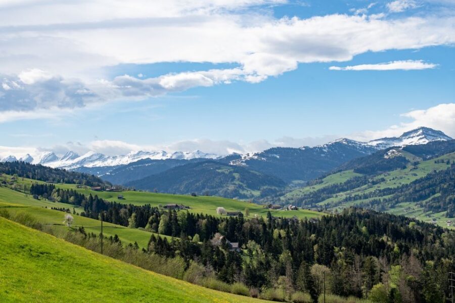 Zurich: Appenzell Day Trip with Farm Visit & Cheese Tasting - Price and Value: Is $233 Worth It for 11 Hours?