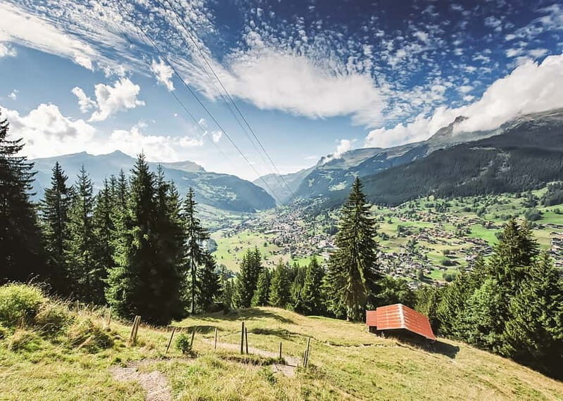 Zurich: Day Trip to Grindelwald, Interlaken & Lauterbrunnen - Who This Tour Fits Best (And Who Should Think Twice)
